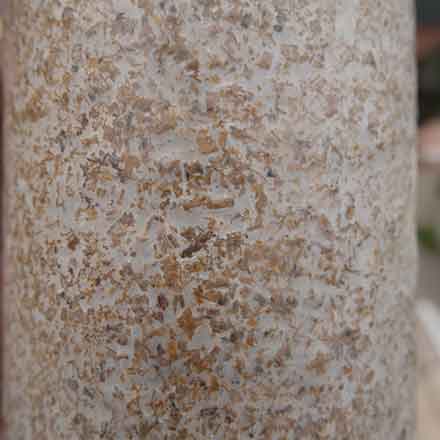 毛慈菇伴生菌小鬼伞菌包