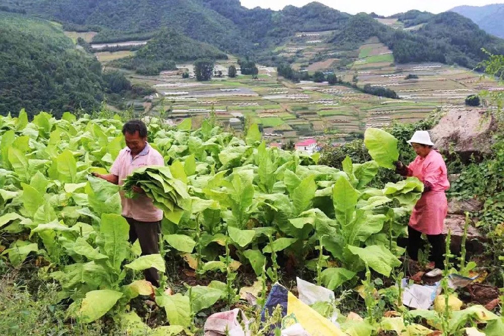 长白山旅行笔记