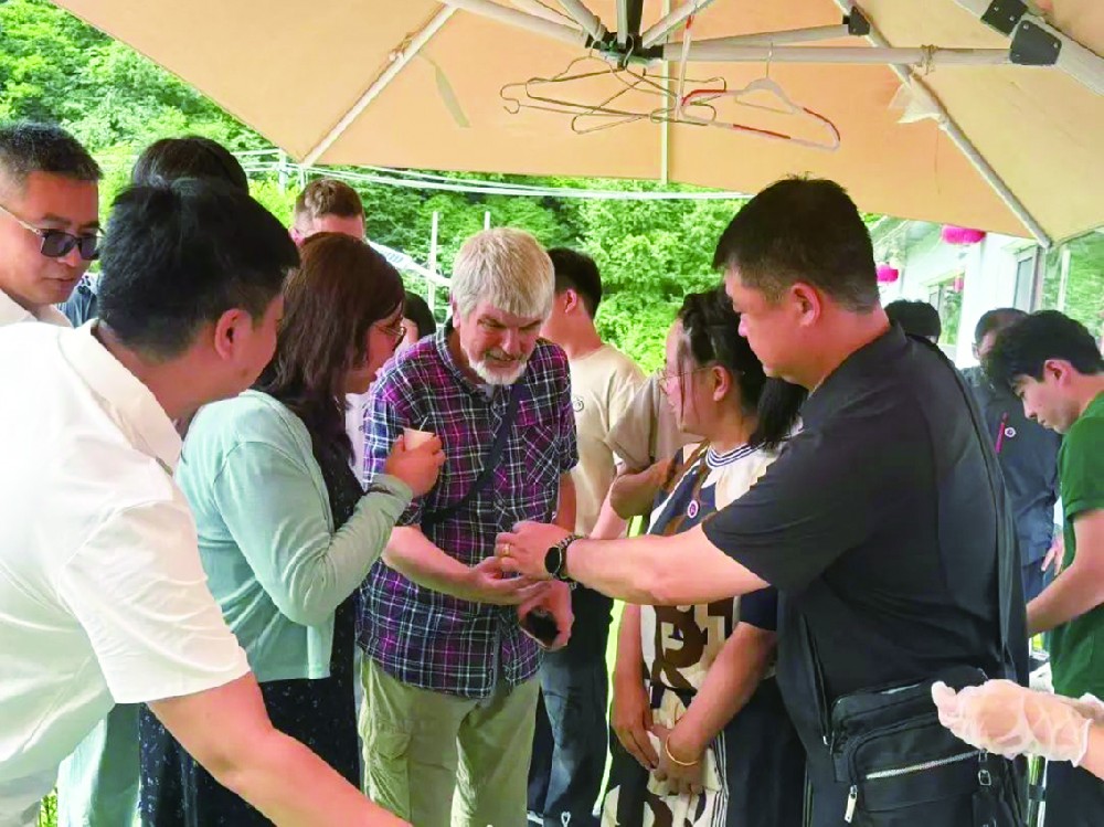 长白山下种仙草——灵芝