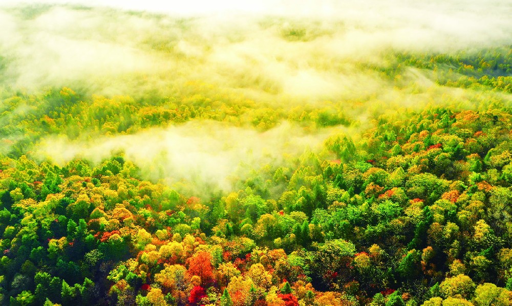 长白山百慕大，江源干饭盆的神秘秋色