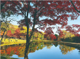 秋染边城：临江文旅新生态激发消费热潮